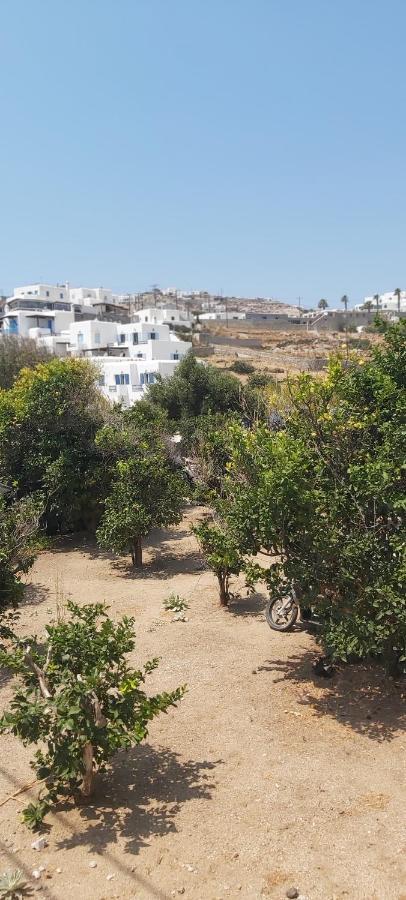 פלאטיס יאלוס Demis Mykonos Stay 2 מראה חיצוני תמונה