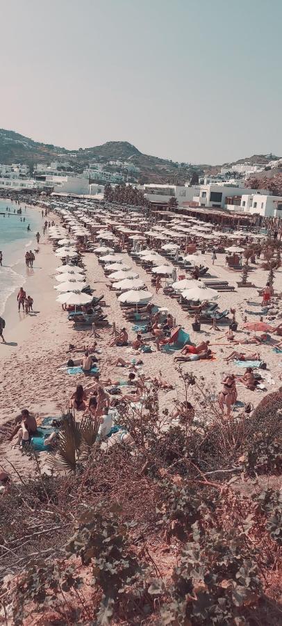 פלאטיס יאלוס Demis Mykonos Stay 2 חדר תמונה
